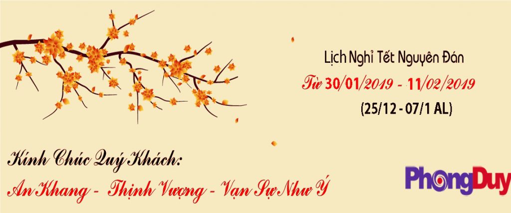 Phong Duy