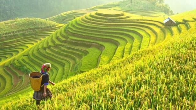 Tặng quà sinh nhật cho bé bằng một chuyến du lịch